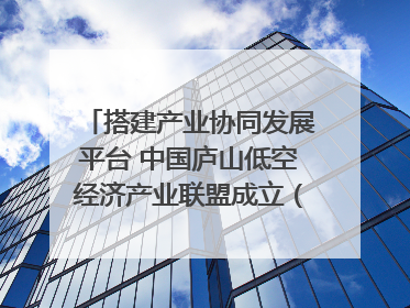 搭建产业协同发展平台 中国庐山低空经济产业联盟成立（组图｜视频）