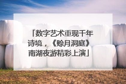 数字艺术重现千年诗境，《赊月洞庭》南湖夜游精彩上演