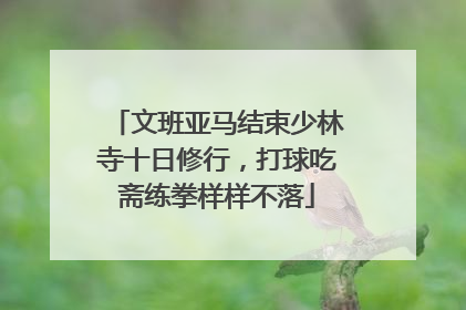 文班亚马结束少林寺十日修行，打球吃斋练拳样样不落