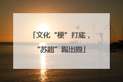 文化“梗”打底，“苏超”踢出圈