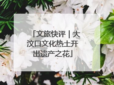 文旅快评｜大汶口文化热土开出遗产之花