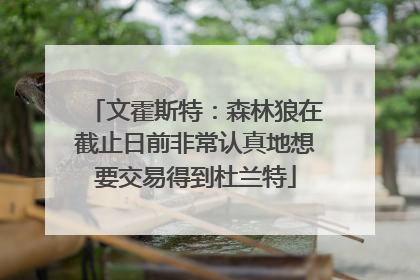文霍斯特：森林狼在截止日前非常认真地想要交易得到杜兰特