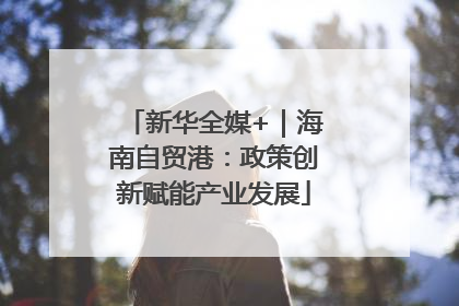新华全媒+｜海南自贸港：政策创新赋能产业发展
