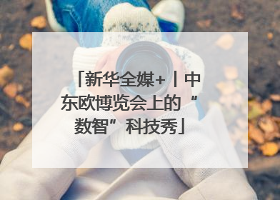 新华全媒+丨中东欧博览会上的“数智”科技秀