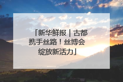 新华鲜报｜古都携手丝路！丝博会绽放新活力
