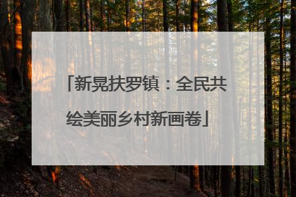 新晃扶罗镇：全民共绘美丽乡村新画卷