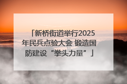 新桥街道举行2025年民兵点验大会 锻造国防建设“拳头力量”