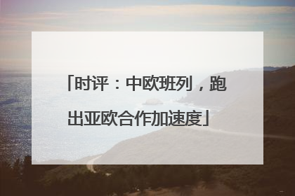 时评：中欧班列，跑出亚欧合作加速度