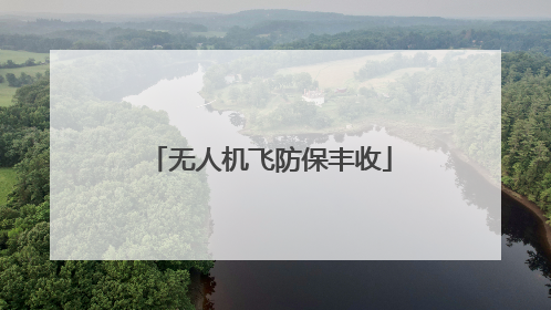 无人机飞防保丰收