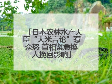 日本农林水产大臣“大米言论”惹众怒 首相紧急换人挽回影响