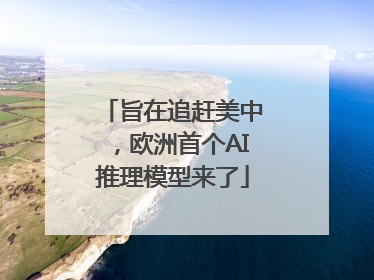 旨在追赶美中，欧洲首个AI推理模型来了