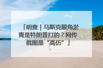 明查｜马斯克眼角淤青是特朗普打的？网传截图是“高仿”