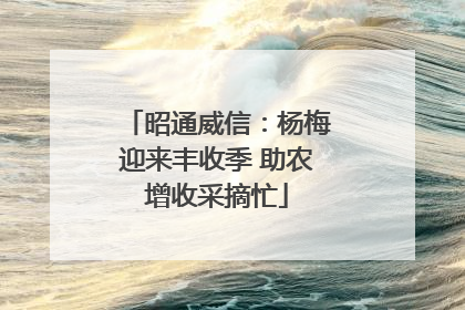 昭通威信：杨梅迎来丰收季 助农增收采摘忙