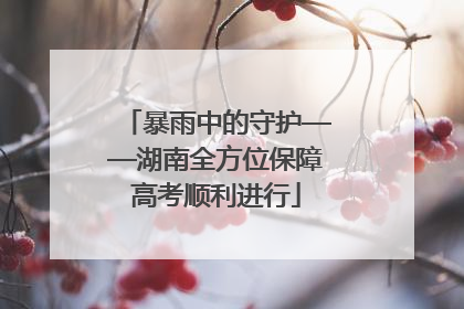 暴雨中的守护——湖南全方位保障高考顺利进行
