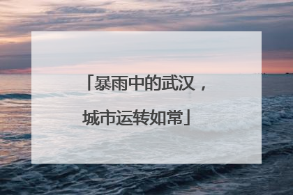 暴雨中的武汉，城市运转如常