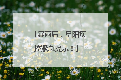 暴雨后，阜阳疾控紧急提示！