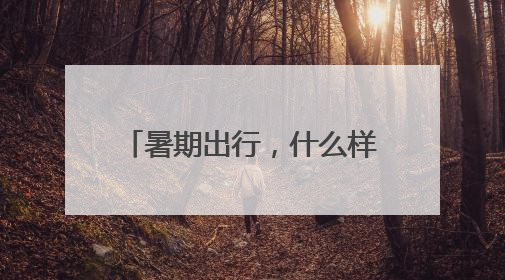 暑期出行，什么样的充电宝可以带？长沙机场划重点