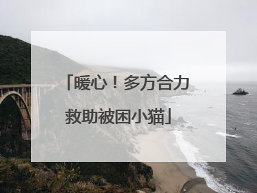 暖心！多方合力救助被困小猫