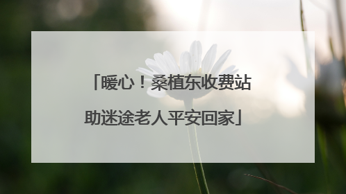 暖心！桑植东收费站助迷途老人平安回家
