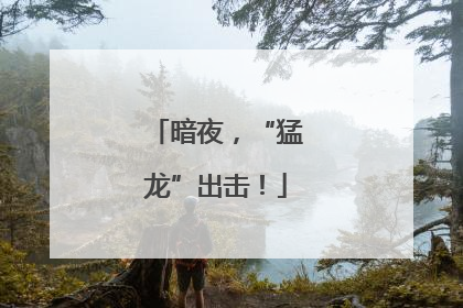 暗夜，“猛龙”出击！