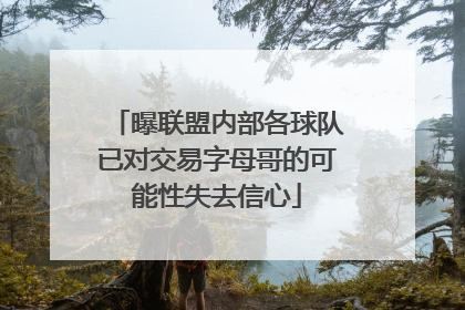 曝联盟内部各球队已对交易字母哥的可能性失去信心