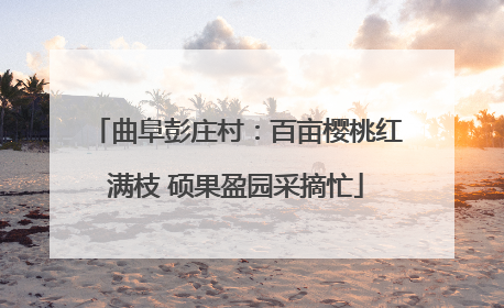 曲阜彭庄村：百亩樱桃红满枝 硕果盈园采摘忙