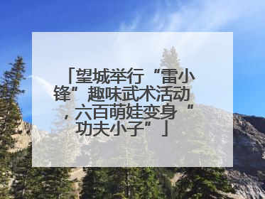 望城举行“雷小锋”趣味武术活动，六百萌娃变身“功夫小子”