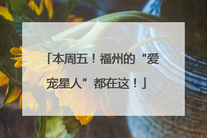 本周五！福州的“爱宠星人”都在这！