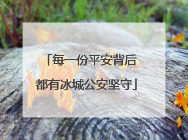 每一份平安背后 都有冰城公安坚守
