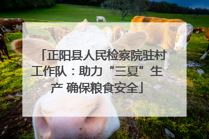 正阳县人民检察院驻村工作队：助力“三夏”生产 确保粮食安全