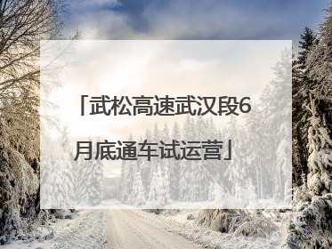 武松高速武汉段6月底通车试运营