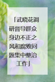 武晓花调研督导群众身边不正之风和腐败问题集中整治工作