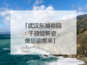 武汉东湖荷园：千荷绽新姿，美景迎客来