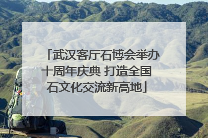 武汉客厅石博会举办十周年庆典 打造全国石文化交流新高地