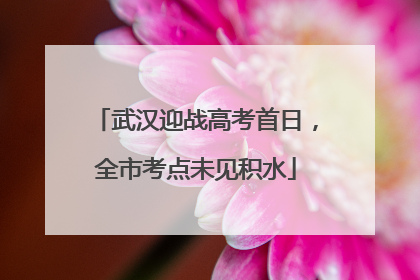 武汉迎战高考首日，全市考点未见积水