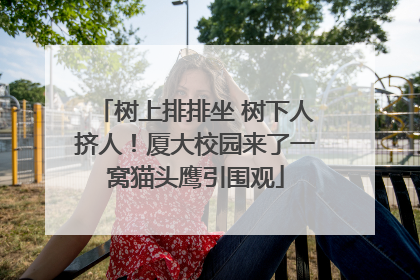 树上排排坐 树下人挤人！厦大校园来了一窝猫头鹰引围观
