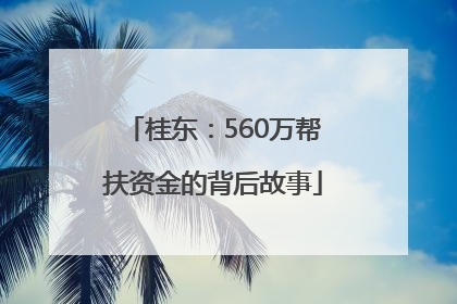 桂东：560万帮扶资金的背后故事