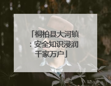 桐柏县大河镇：安全知识浸润千家万户