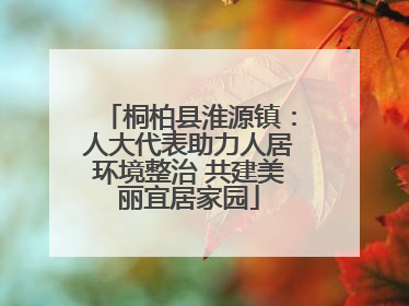 桐柏县淮源镇：人大代表助力人居环境整治 共建美丽宜居家园