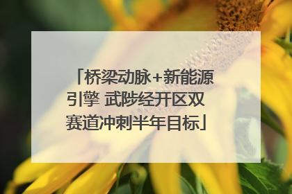 桥梁动脉+新能源引擎 武陟经开区双赛道冲刺半年目标