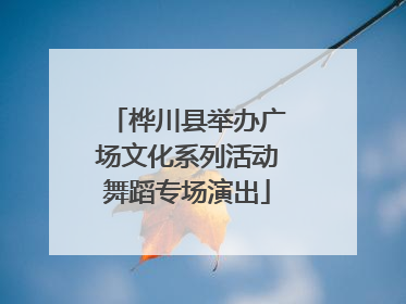桦川县举办广场文化系列活动舞蹈专场演出
