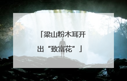 梁山粉木耳开出“致富花”