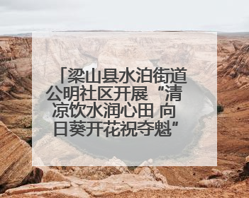 梁山县水泊街道公明社区开展“清凉饮水润心田 向日葵开花祝夺魁”助考活动