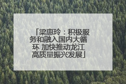 梁惠玲：积极服务和融入国内大循环 加快推动龙江高质量振兴发展