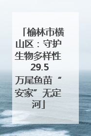 榆林市横山区：守护生物多样性 29.5万尾鱼苗“安家”无定河