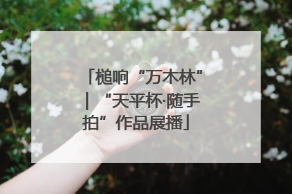 槌响“万木林”｜“天平杯·随手拍”作品展播