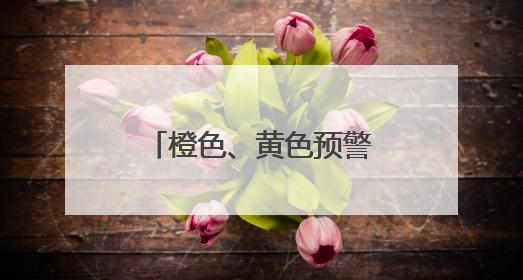橙色、黄色预警，局地有大暴雨