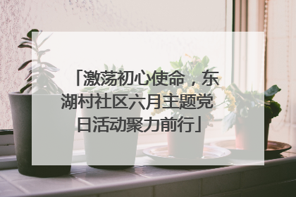 激荡初心使命，东湖村社区六月主题党日活动聚力前行