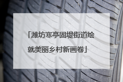 潍坊寒亭固堤街道绘就美丽乡村新画卷
