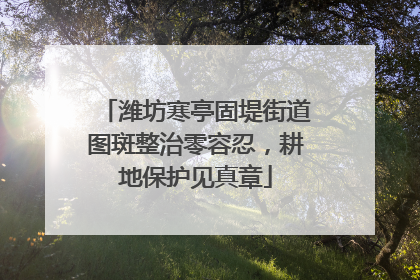 潍坊寒亭固堤街道图斑整治零容忍，耕地保护见真章